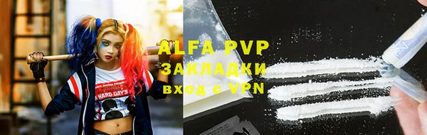 стафф Алексин