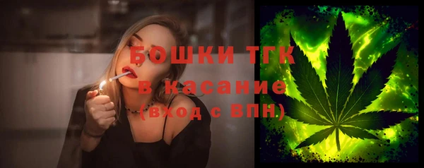 твердый Алексеевка