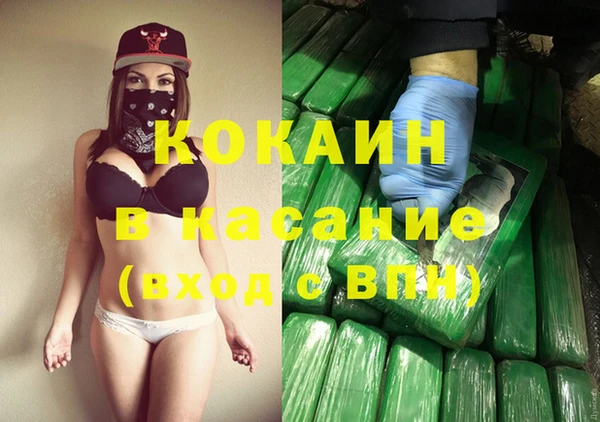 стафф Алексин