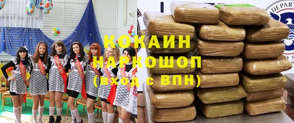 стафф Алексин