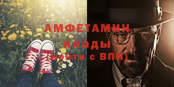 стафф Алексин