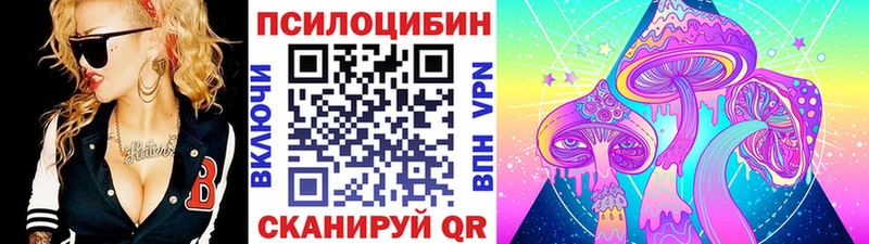 Галлюциногенные грибы Psilocybe Пенза