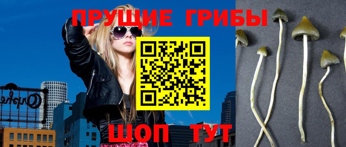Пенза  Галлюциногенные грибы мицелий  Псилоцибиновые грибы MAGIC MUSHROOMS  Вход с VPN 